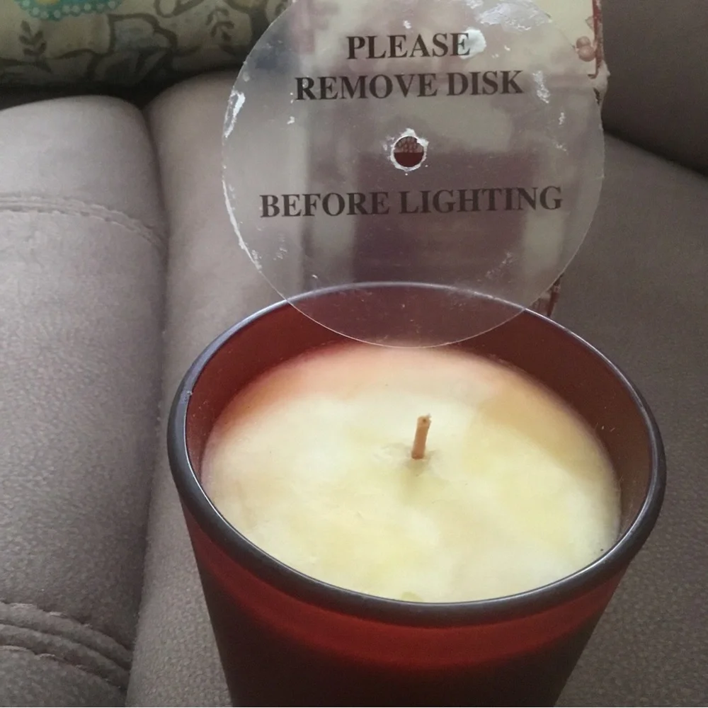NEW Williams Sonoma 9oz Winter Berry Candle Red Pomegranate & Orange Cassis